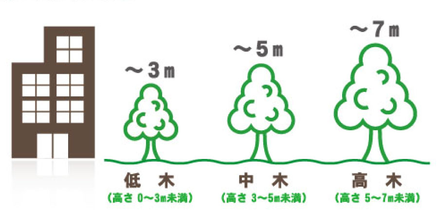 庭木お手入れイメージ